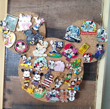 Load image into Gallery viewer, Tangled Inspired Cork Pin Board

